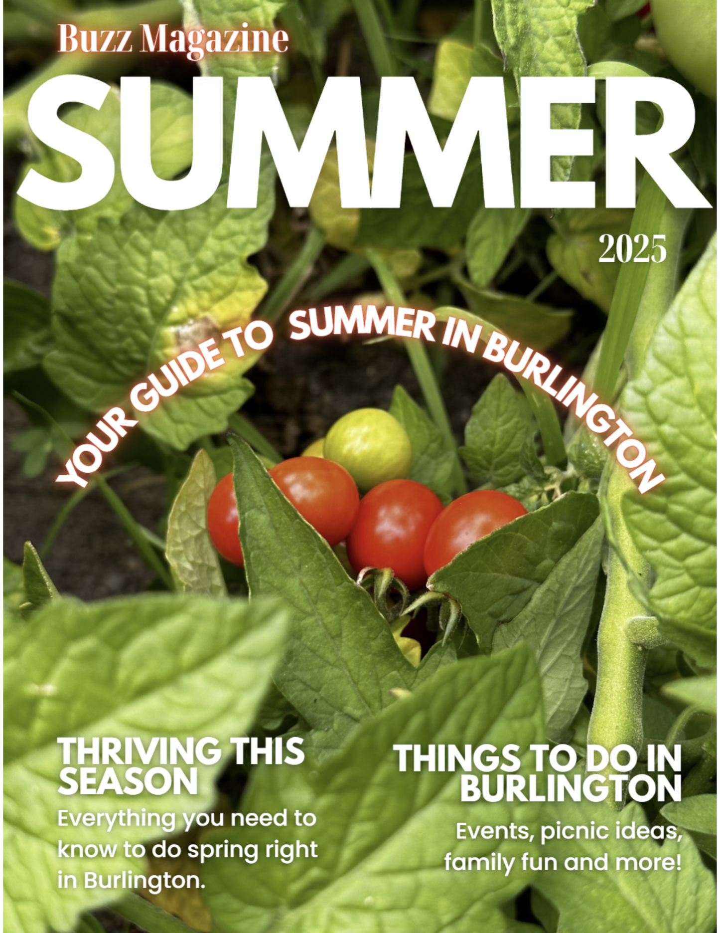 Burlington Buzz Seasonal Magazine