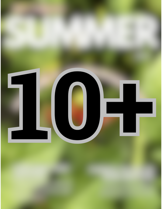 Burlington Buzz Summer Magazine - Preorder BULK - 10+